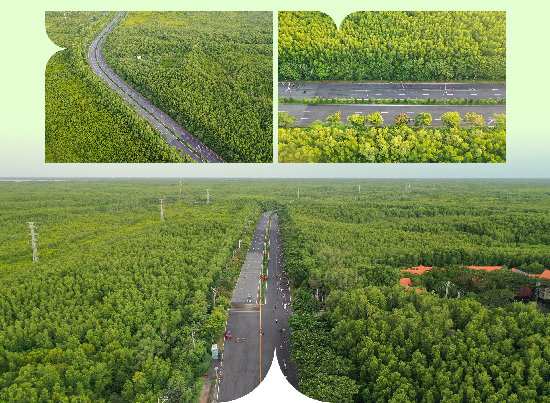 vinhomes green paradise